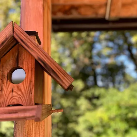 Wood Hillside Retreat Prázdninový dům