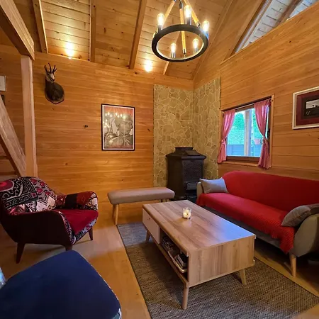 Prázdninový dům Wood Hillside Retreat